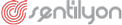Sentilyon SEO Digital Agency